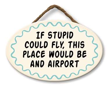 IF STUPID COULD FLY, THIS PLACE - GIGGLE ZONE 8X5