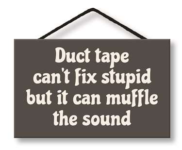 DUCT TAPE CAN'T FIX STUPID - WITTY WORDS 8X5