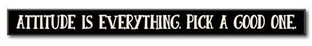75972 ATTITUDE IS EVERYTHING - SKINNIES 1.5X16